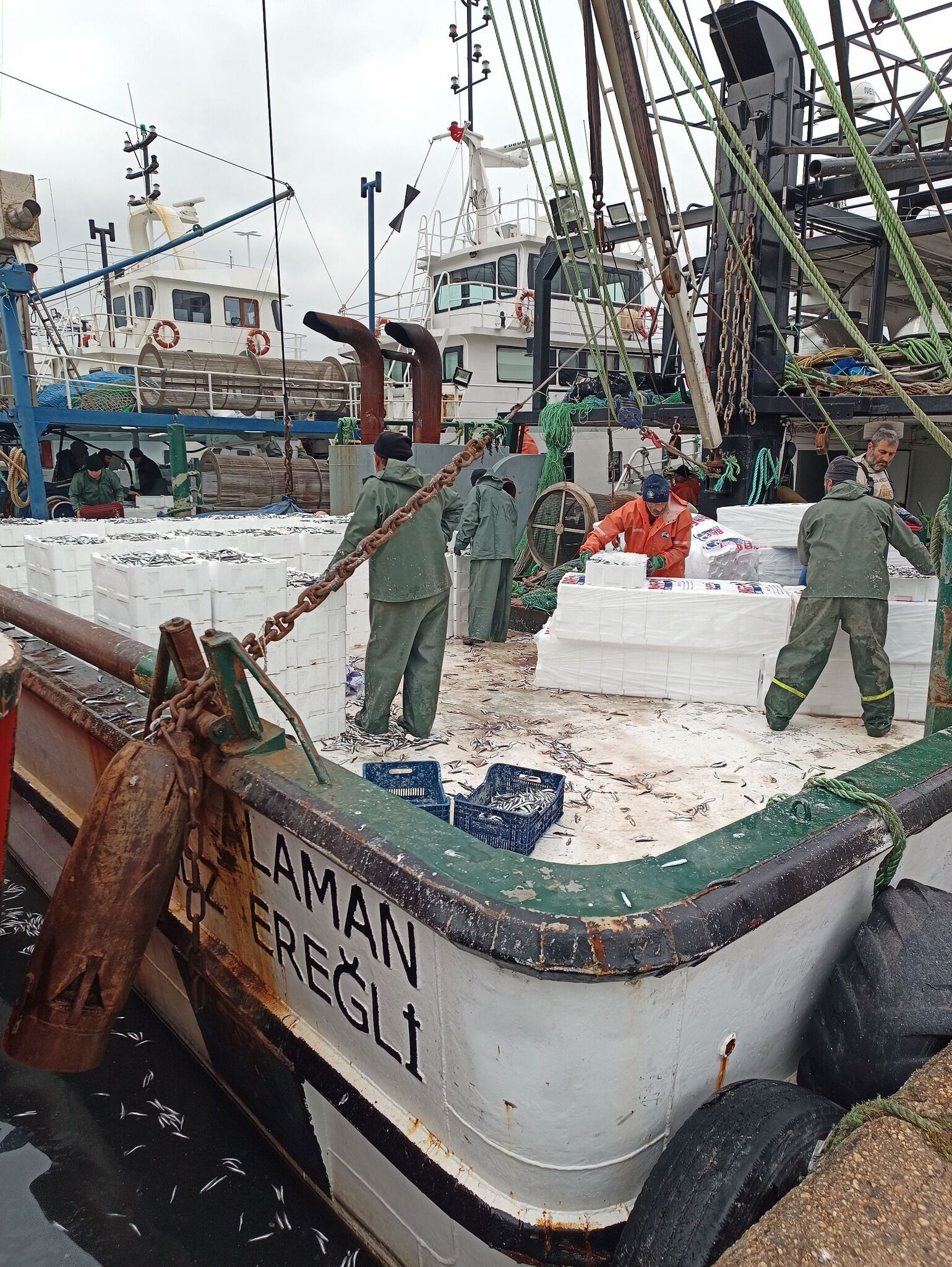 643094142 25923926547235497 4693739602509623770 N