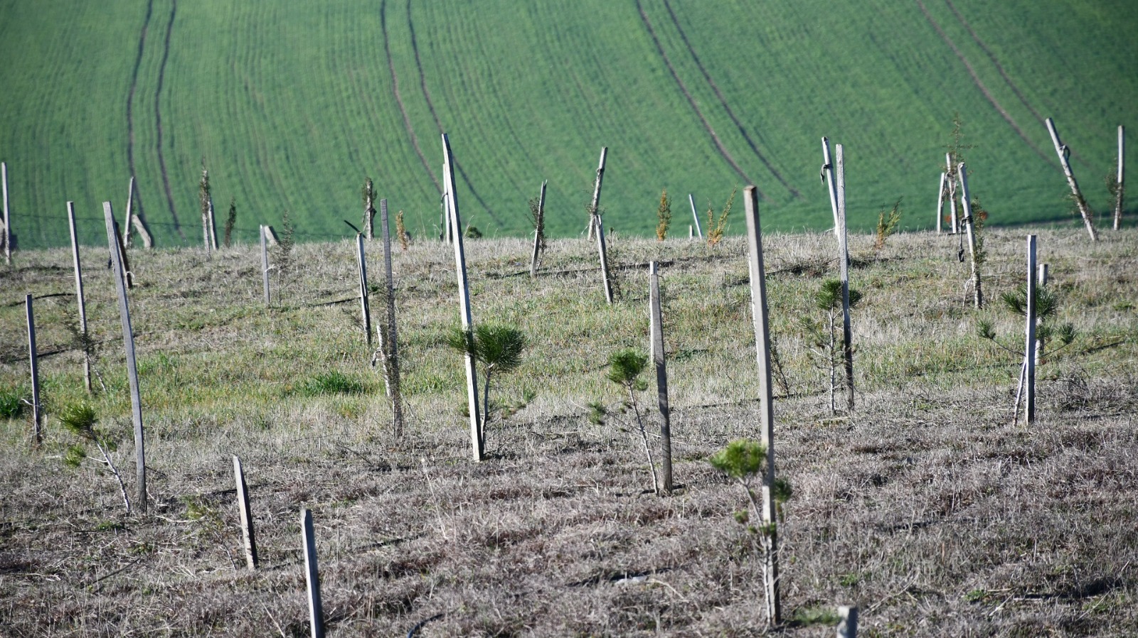 660E4F02 Be47 4A11 9565 03A862B4Cc00