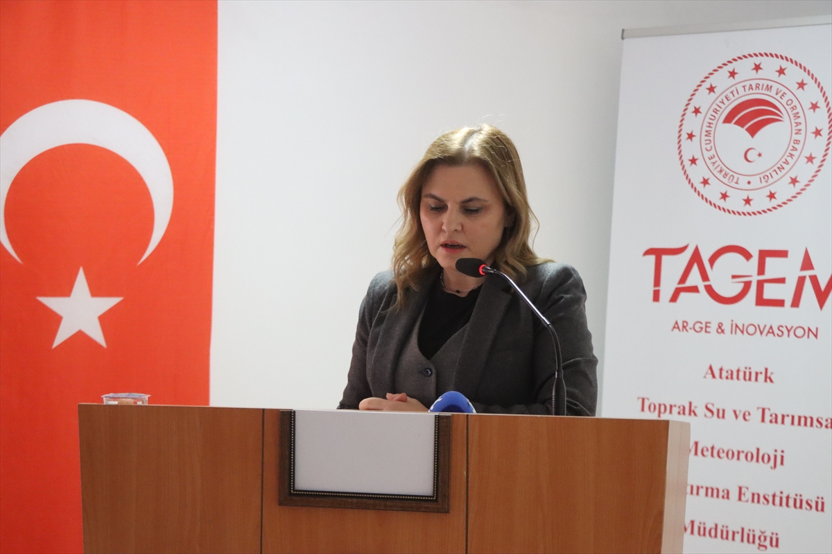 A A 20260210 40513293 40513292 K I R K L A R E L I N D E H E R D A M L A B I R F A R K Y A R A T I R A K I L L I S U L A M A S A G L I K L I M E R A P R O J E S I T A N I T I L D I