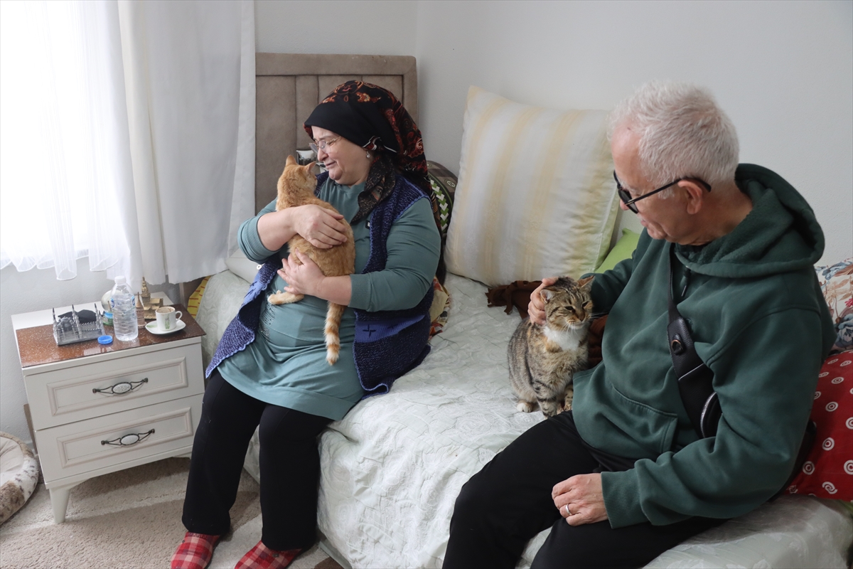 A A 20260216 40567153 40567143 D O K T O R O N E R I S I Y L E B A S L A Y A N K E D I S E V G I S I 40 K E D I L I K Y U V A Y A D O N U S T U