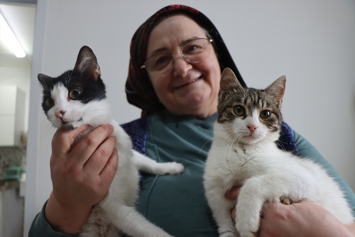 A A 20260216 40567153 40567150 D O K T O R O N E R I S I Y L E B A S L A Y A N K E D I S E V G I S I 40 K E D I L I K Y U V A Y A D O N U S T U