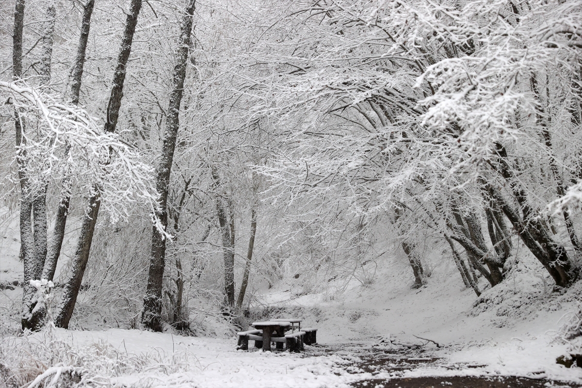 A A 20260218 40591450 40591442 K I R K L A R E L I N I N Y U K S E K K E S I M L E R I N D E K A R E T K I L I O L U Y O R