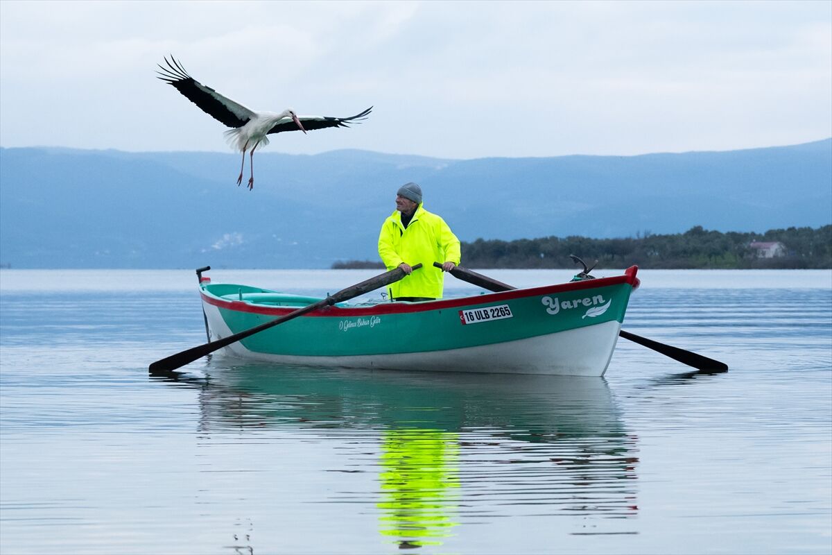 A A 20260227 40680083 40680078 Y A R E N L E Y L E K 15 Y I L D A D A G O C U P G E L D I