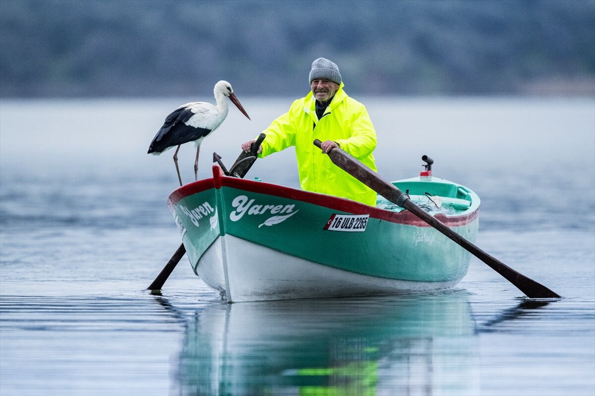 A A 20260227 40680083 40680082 Y A R E N L E Y L E K 15 Y I L D A D A G O C U P G E L D I