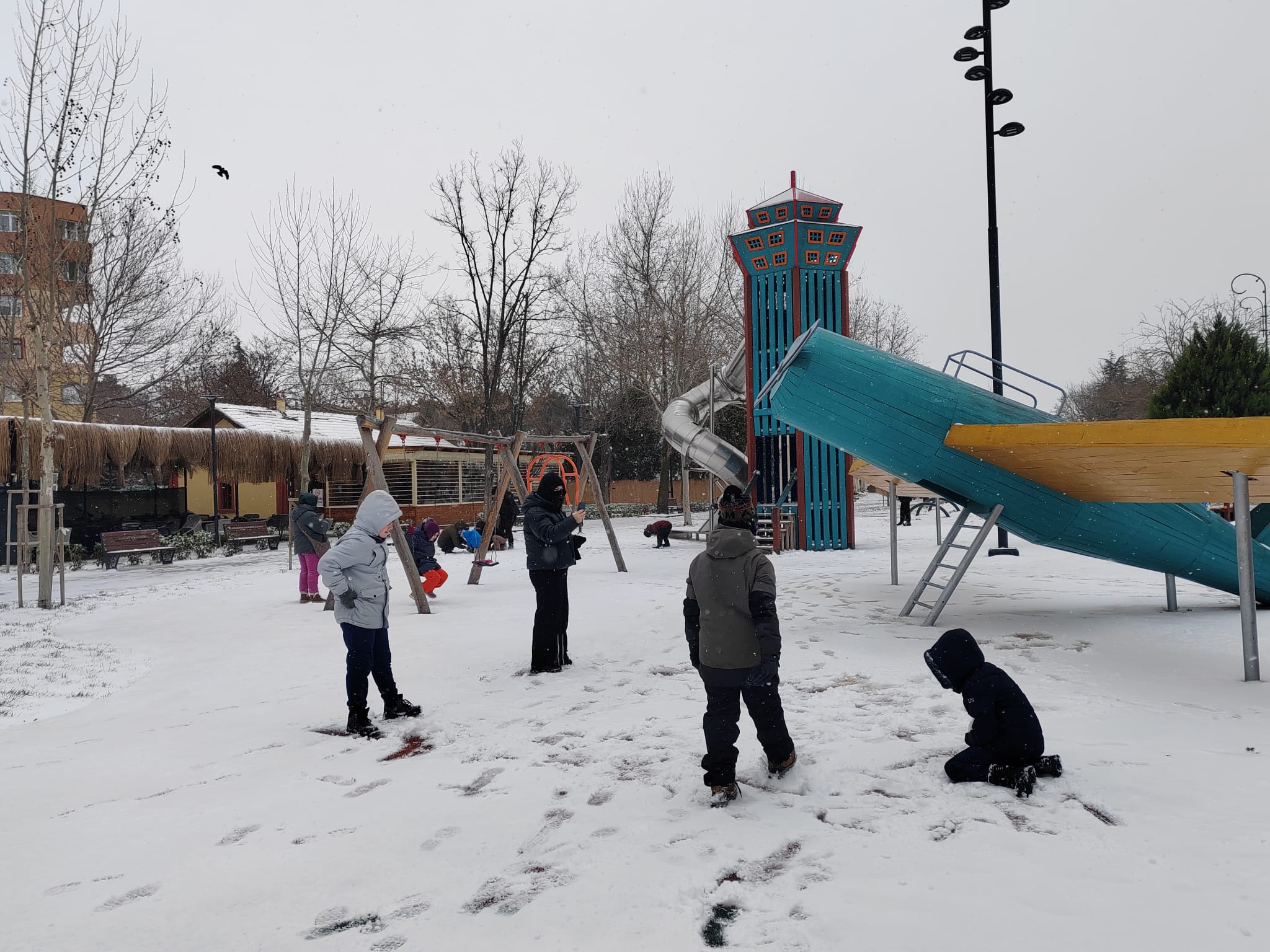 A7149B87 256E 43Af 9F20 7811204667Ed