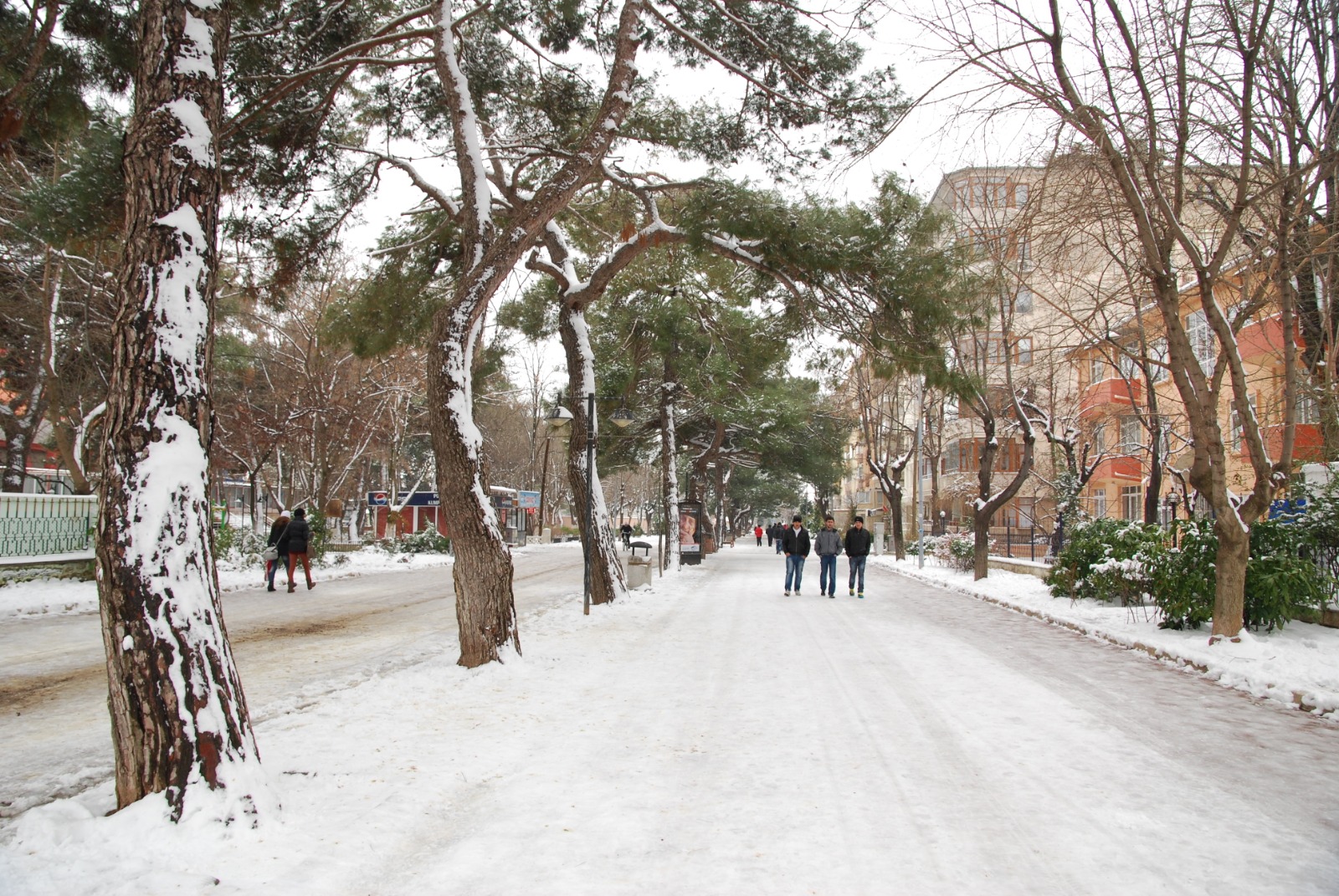 B95568B6 F4A6 452A 8176 Ab0B276C1D48