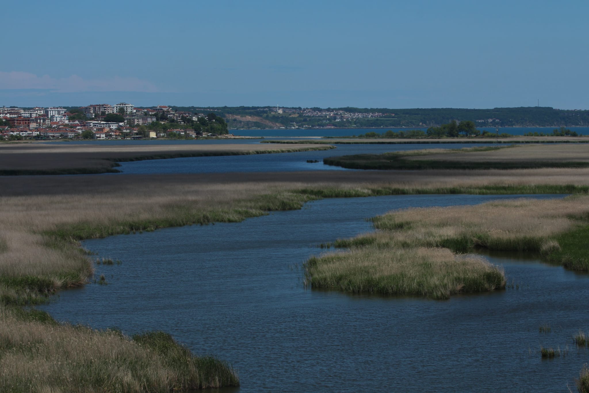 Bf77Cef5 E2Fc 4491 B19E Ab3Eaac4Ae3E