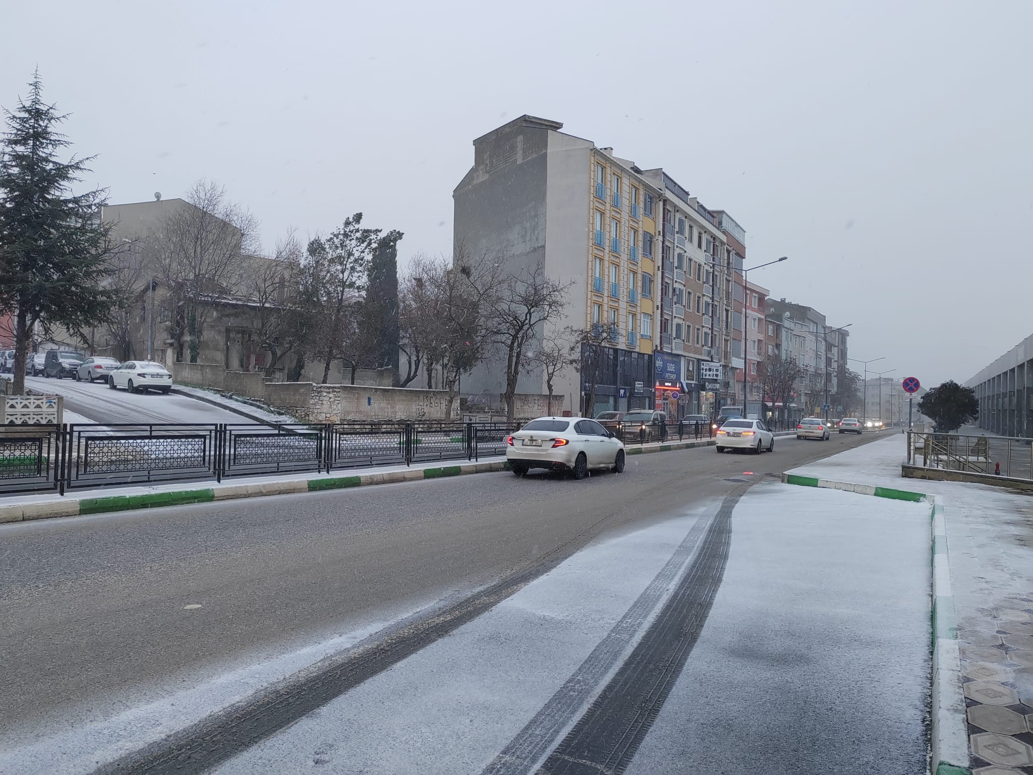 Cf5Fa5Ed 07E8 438B 8De2 Aa07D5D8329D