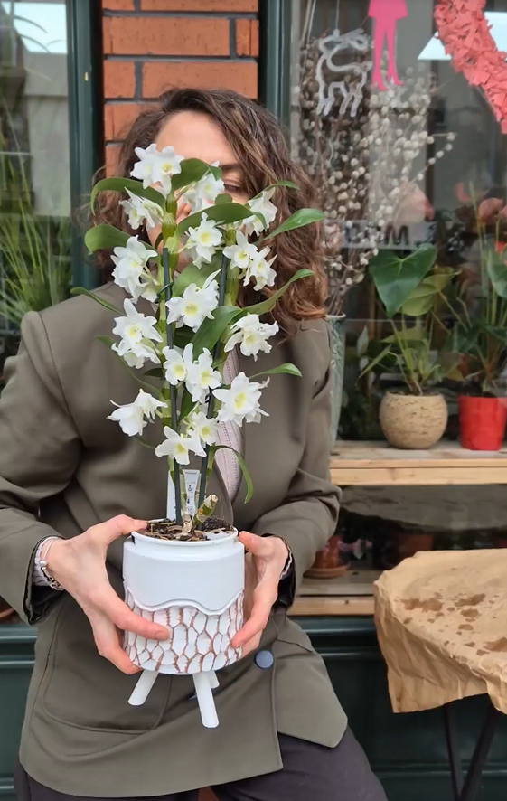 Ekran Görüntüsü 2026 02 12 110436