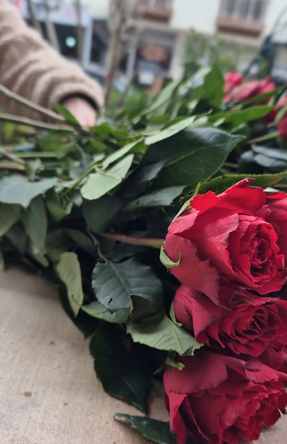 Ekran Görüntüsü 2026 02 12 110514