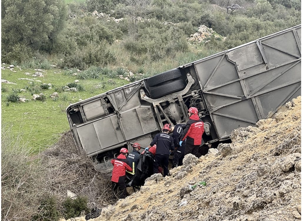 I M G 20260201 W A0005