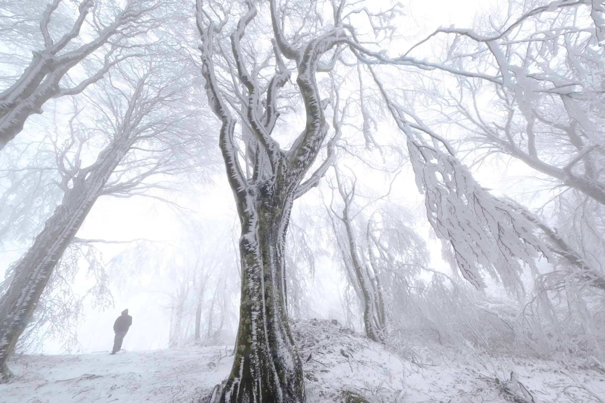 I M G 20260201 W A0028