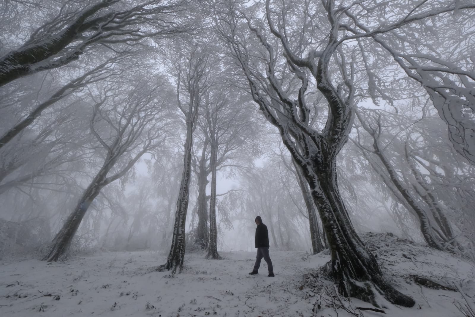 I M G 20260201 W A0029