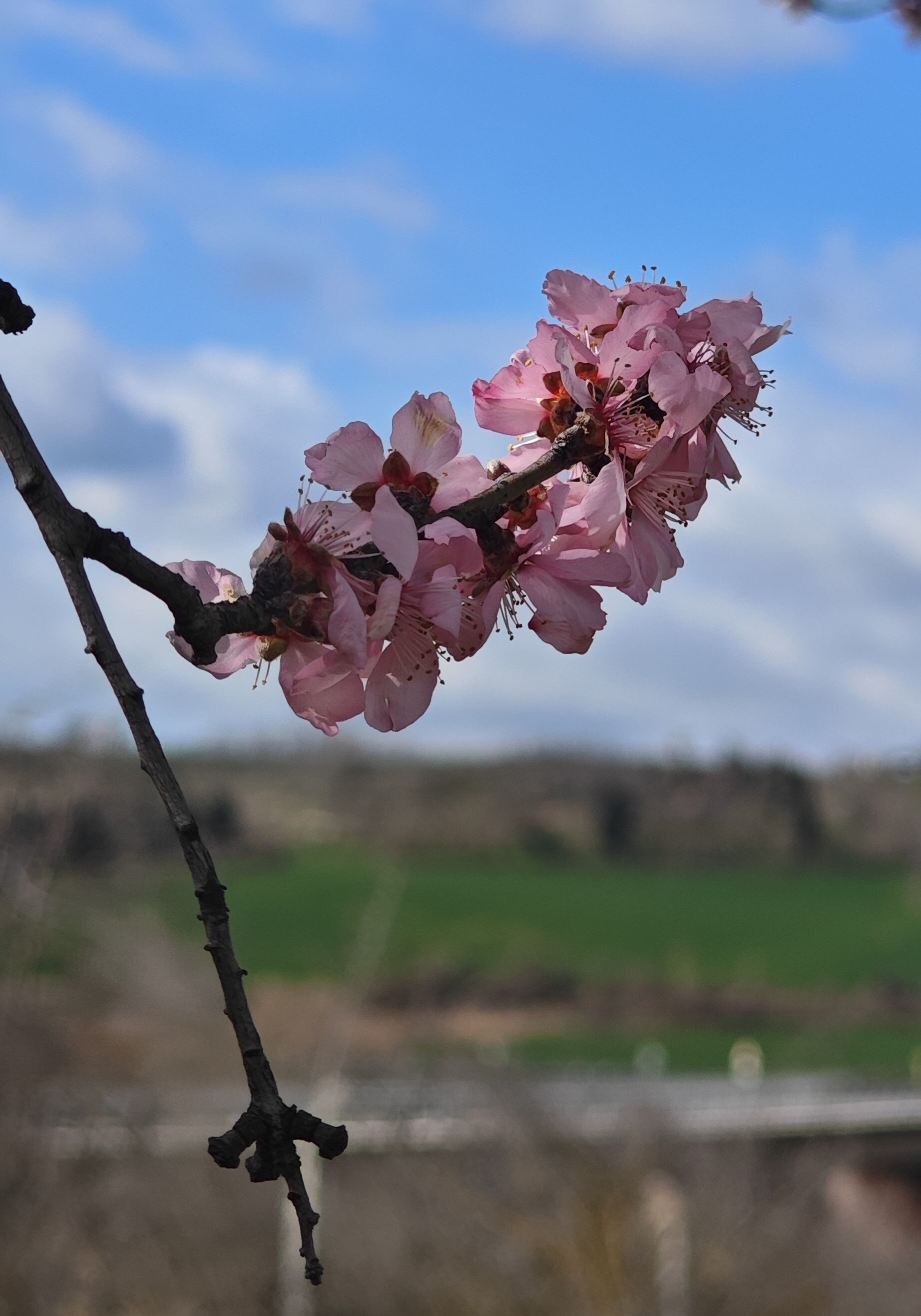 I M G 20260225 131533.Jpg