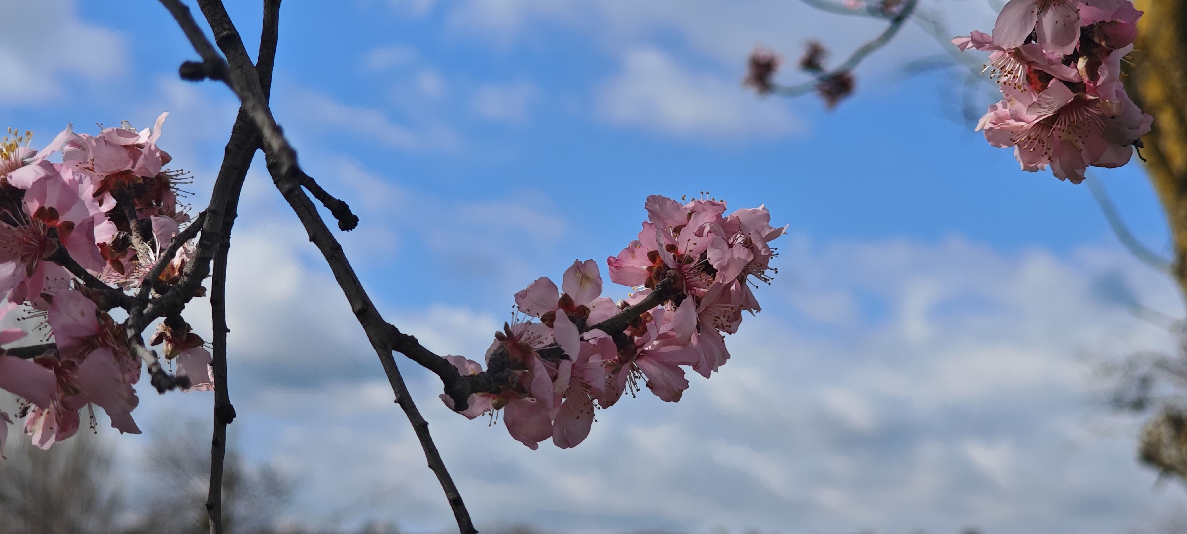 I M G 20260225 131536.Jpg