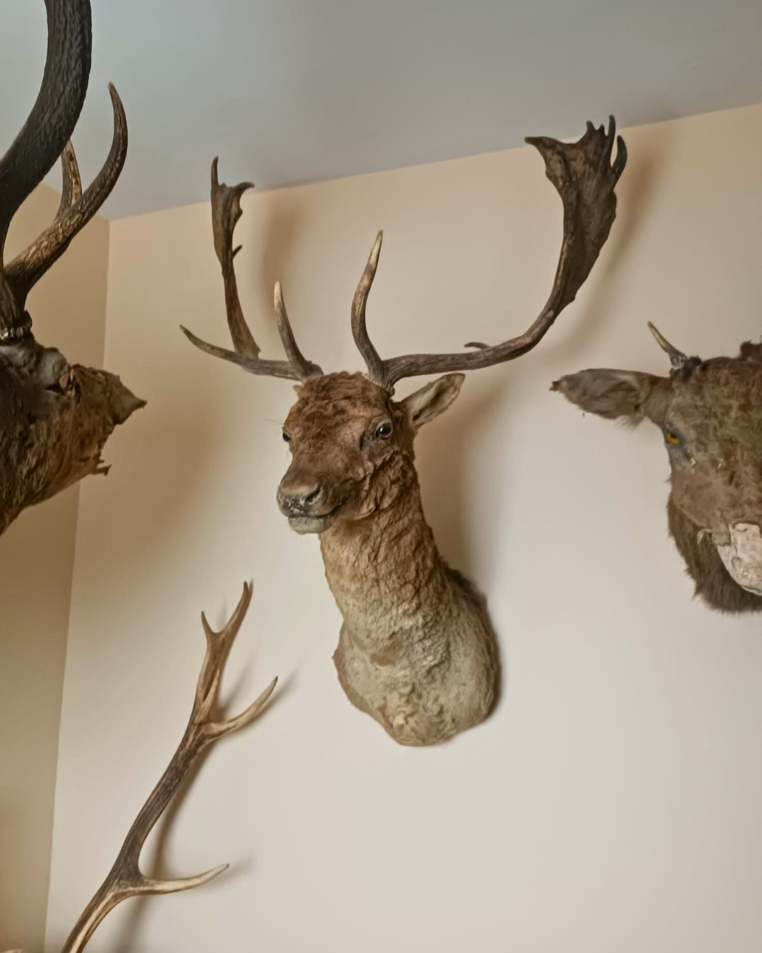 Snap Insta.to 636729704 1356838909821372 8190962906640322986 N