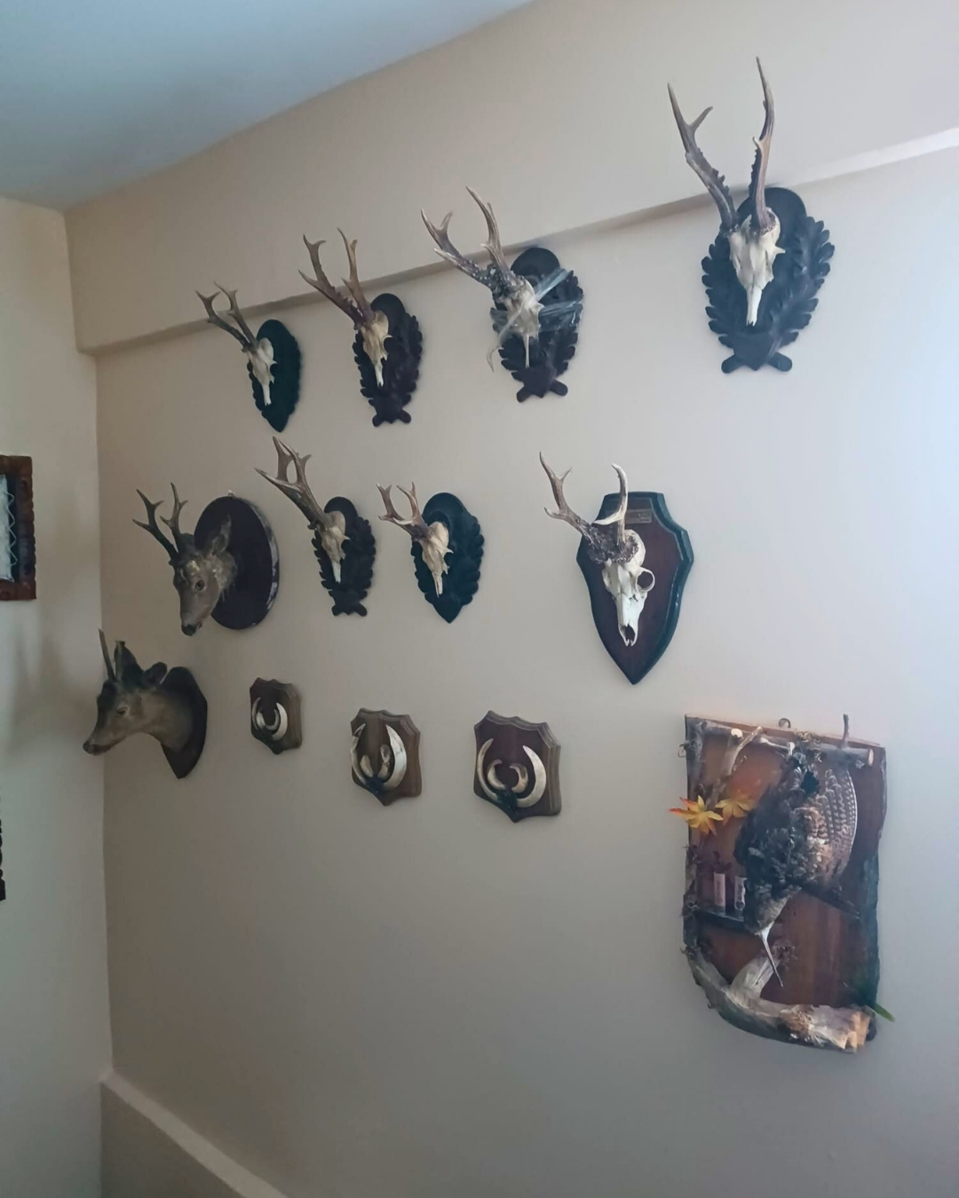 Snap Insta.to 637245913 1356838963154700 1950532828969707831 N