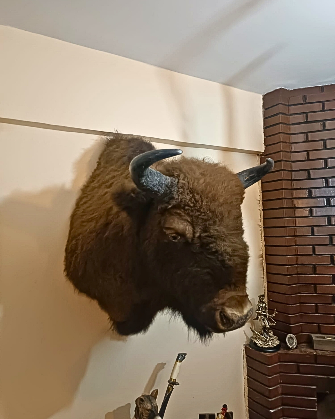 Snap Insta.to 638556610 1356839036488026 7746142873391816761 N