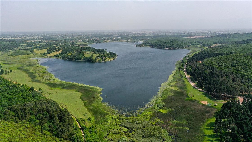 Thumbs B C 3Bf7215Ec4276D0Dd80D6698584D05Ec