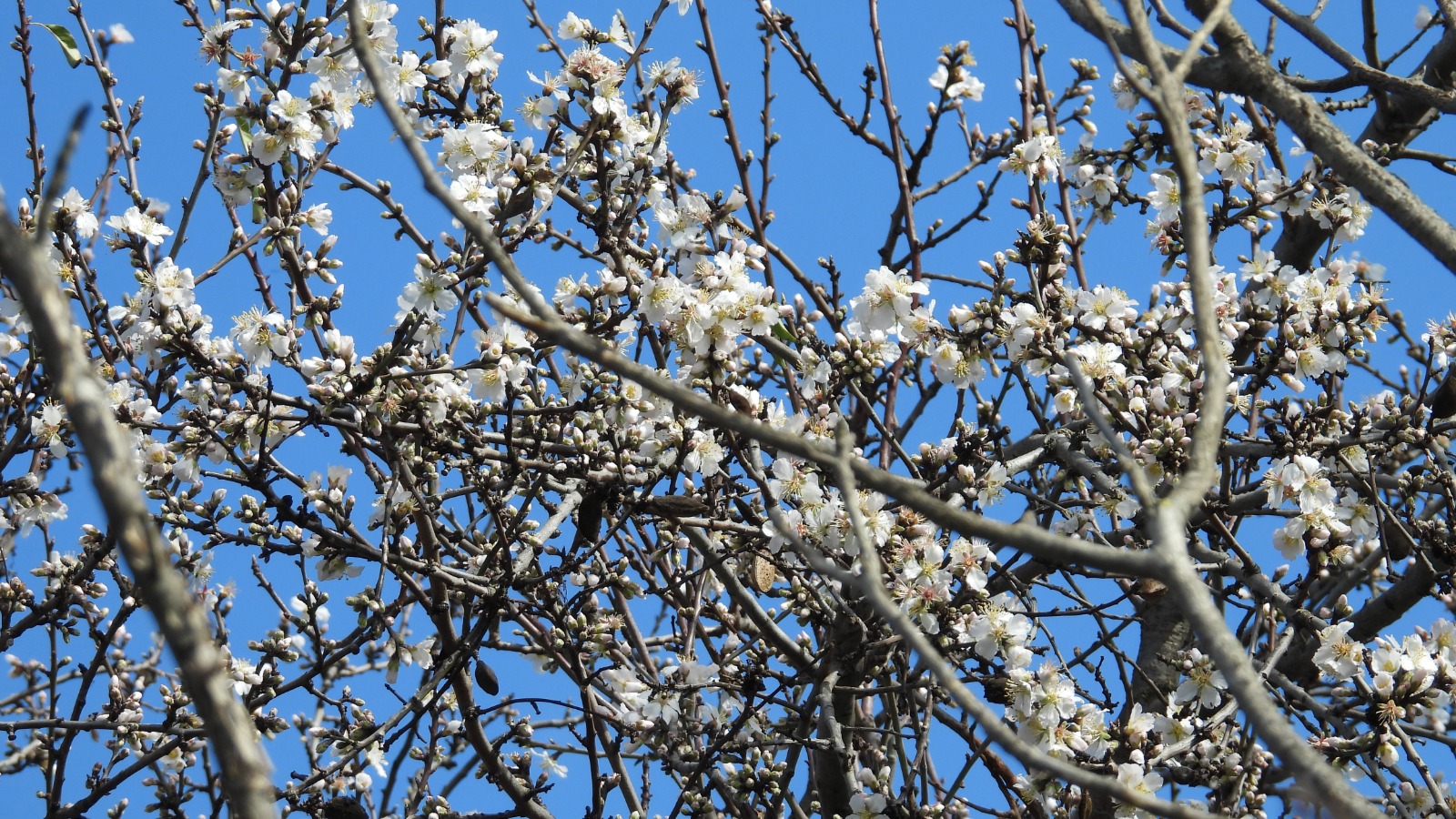 Whatsapp Image 2026 02 07 At 18.18.21 (1)