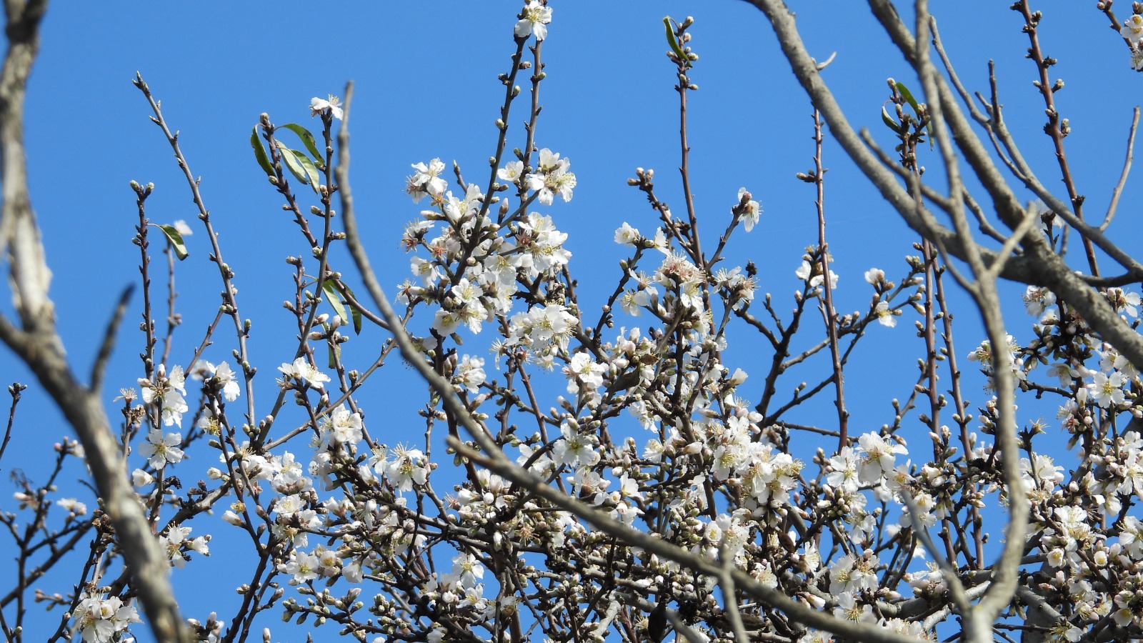 Whatsapp Image 2026 02 07 At 18.18.21 (2)