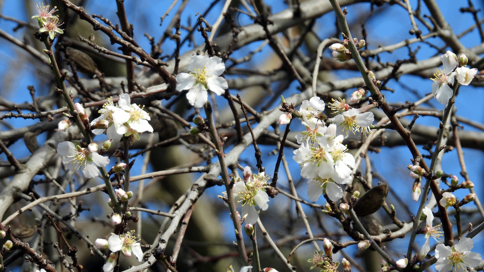 Whatsapp Image 2026 02 07 At 18.18.21 (3)