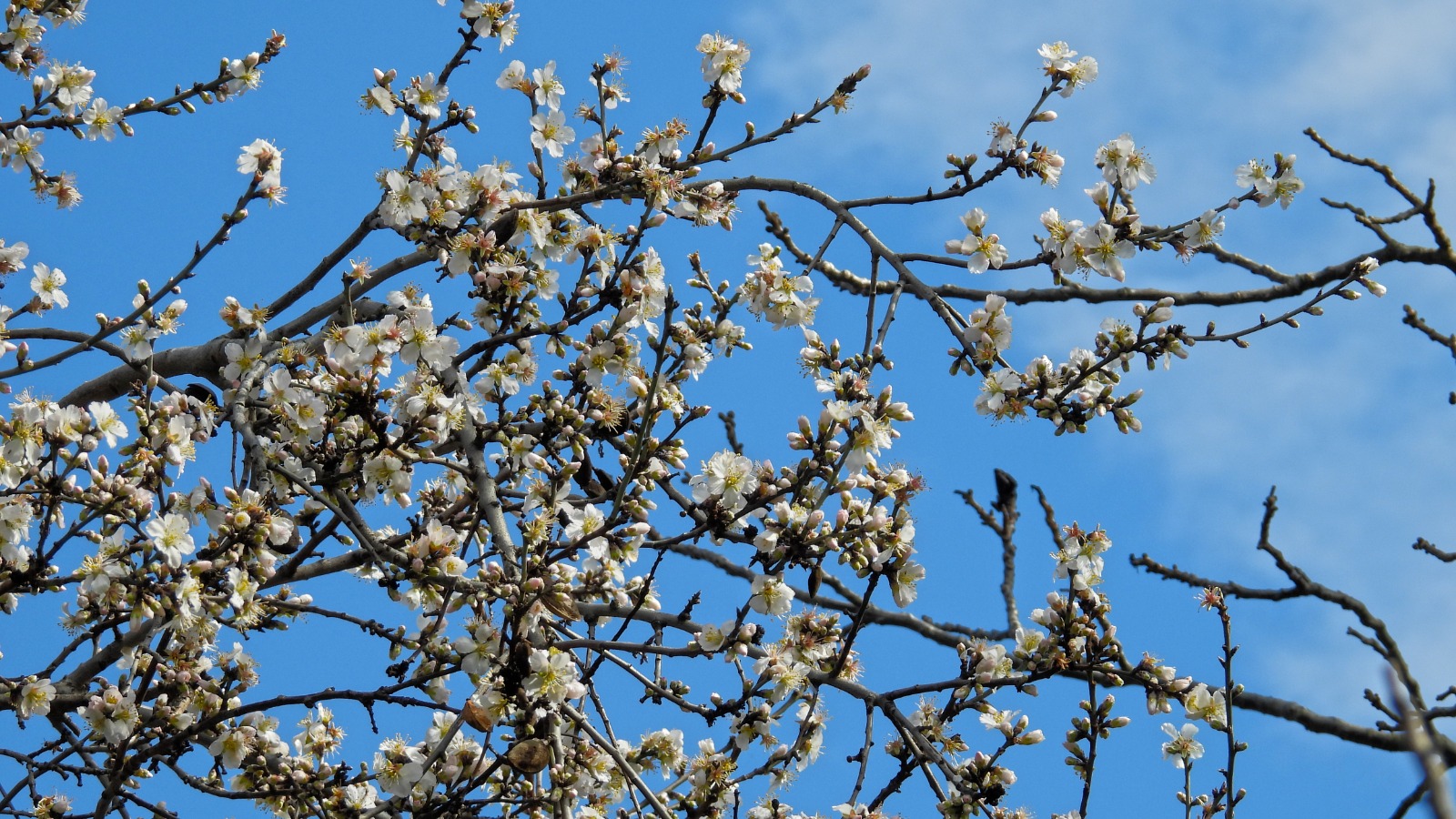 Whatsapp Image 2026 02 07 At 18.18.22 (1)