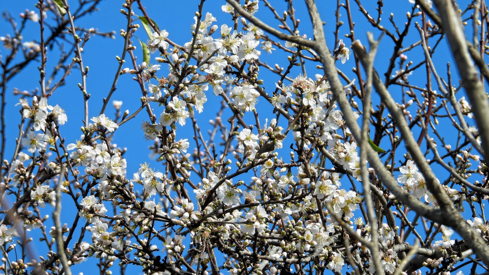 Whatsapp Image 2026 02 07 At 18.18.22 (2)