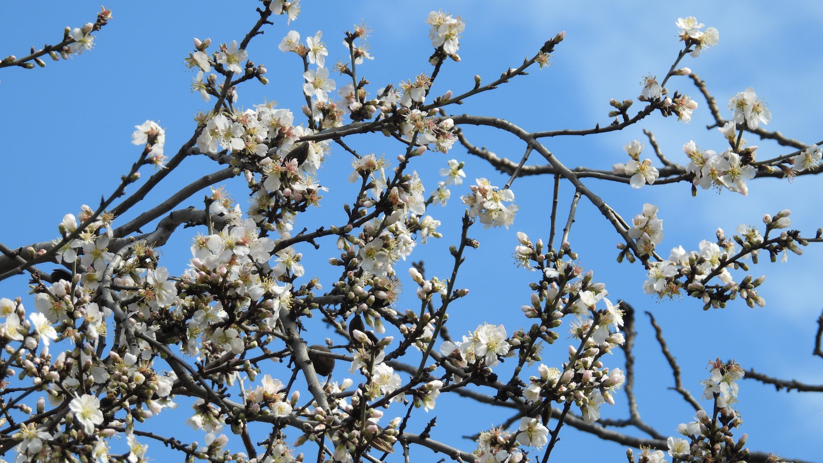 Whatsapp Image 2026 02 07 At 18.18.22