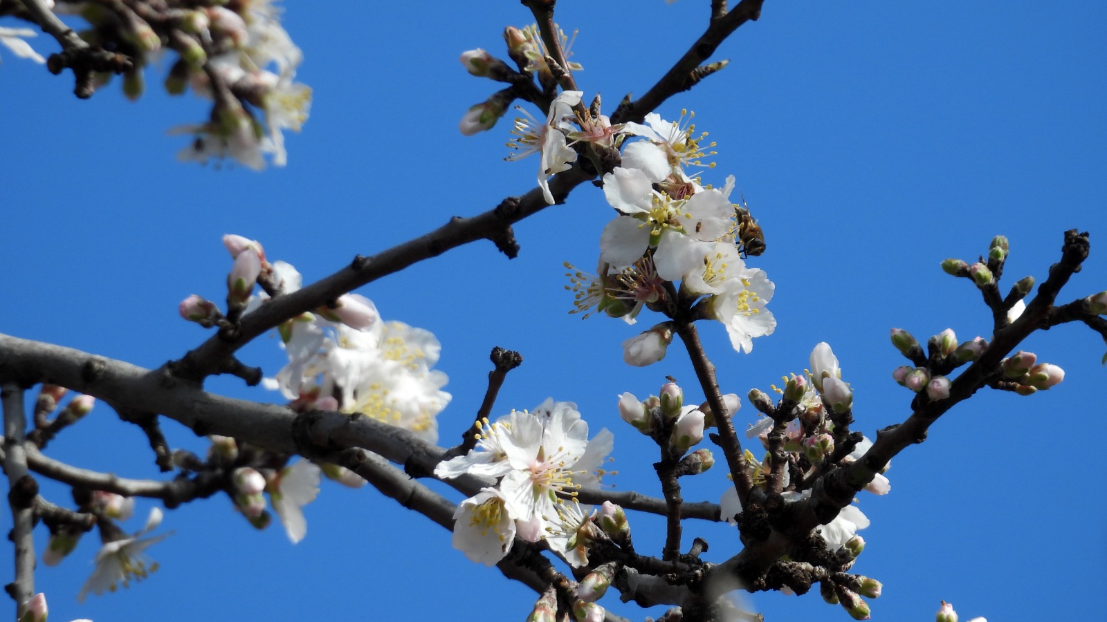 Whatsapp Image 2026 02 07 At 18.18.23 (2)