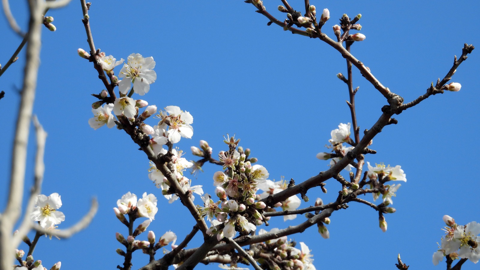 Whatsapp Image 2026 02 07 At 18.18.23 (3)