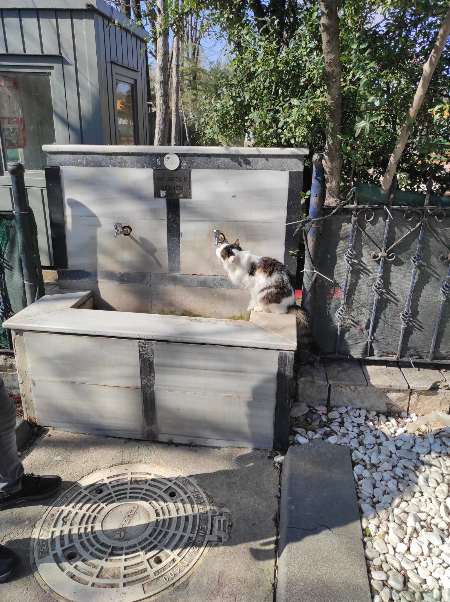 0B7035B3 F335 4240 9De4 39344A282B72