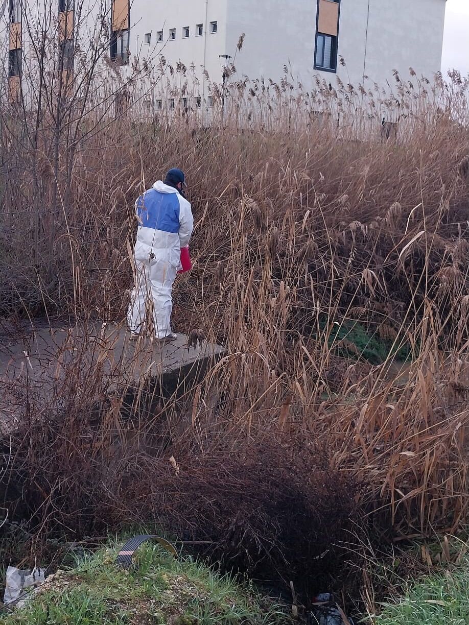 639855125 17932008285204654 8479775068624139355 N