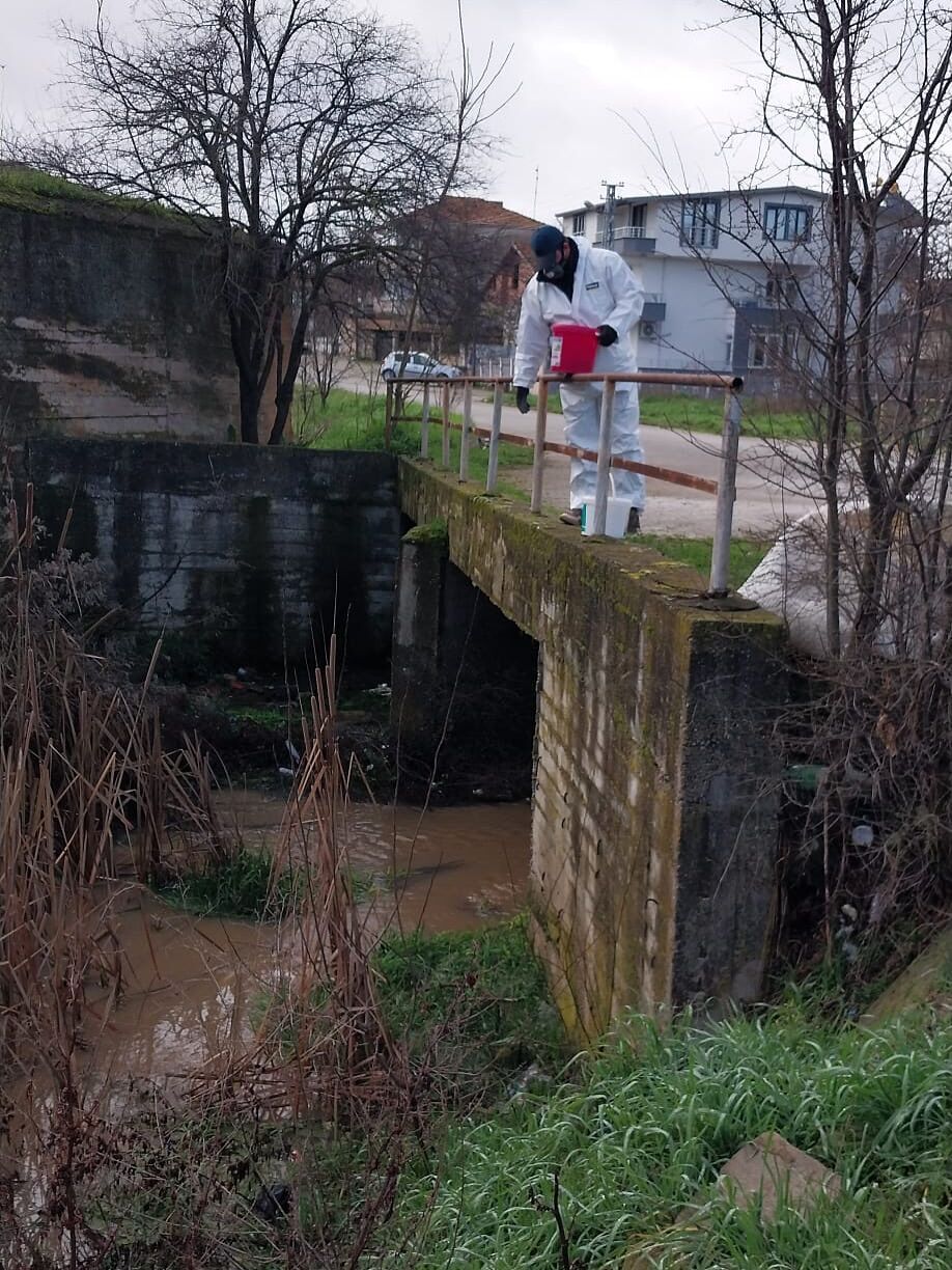 641838942 17932008345204654 8180279376536880381 N