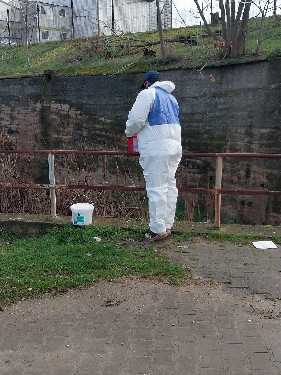 642507395 17932008240204654 6918885008227264782 N