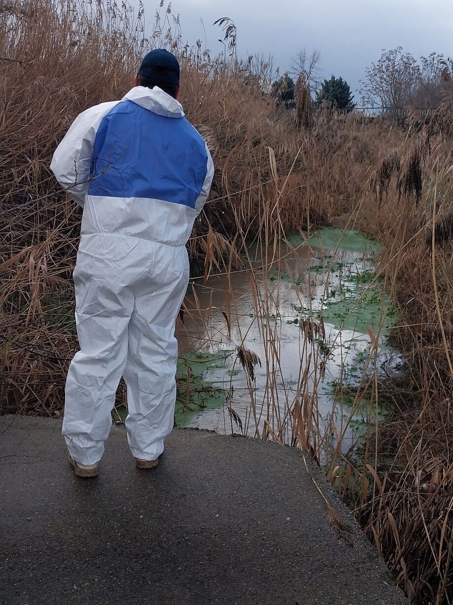 643549905 17932008249204654 6268671694941969424 N