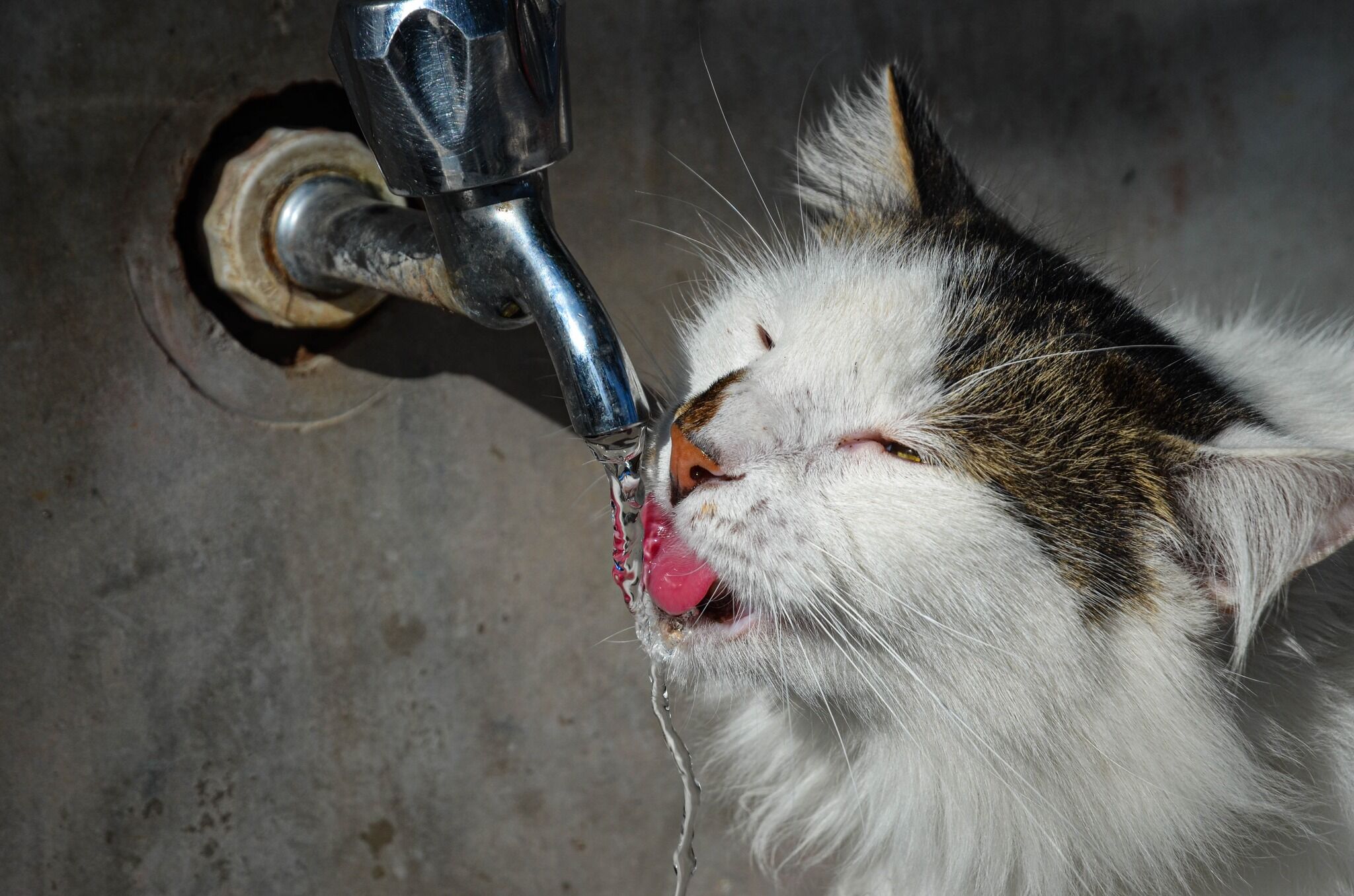 645172637 10163111888049221 1595868383354458231 N