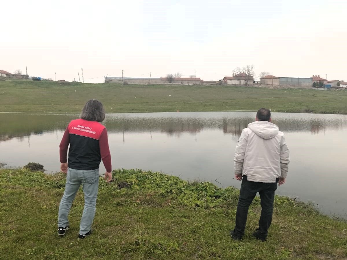 648162526 1380865130721815 1088248484767628023 N