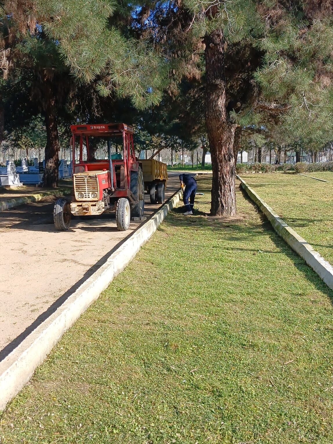 650899602 17928909060236893 3700822906926732100 N