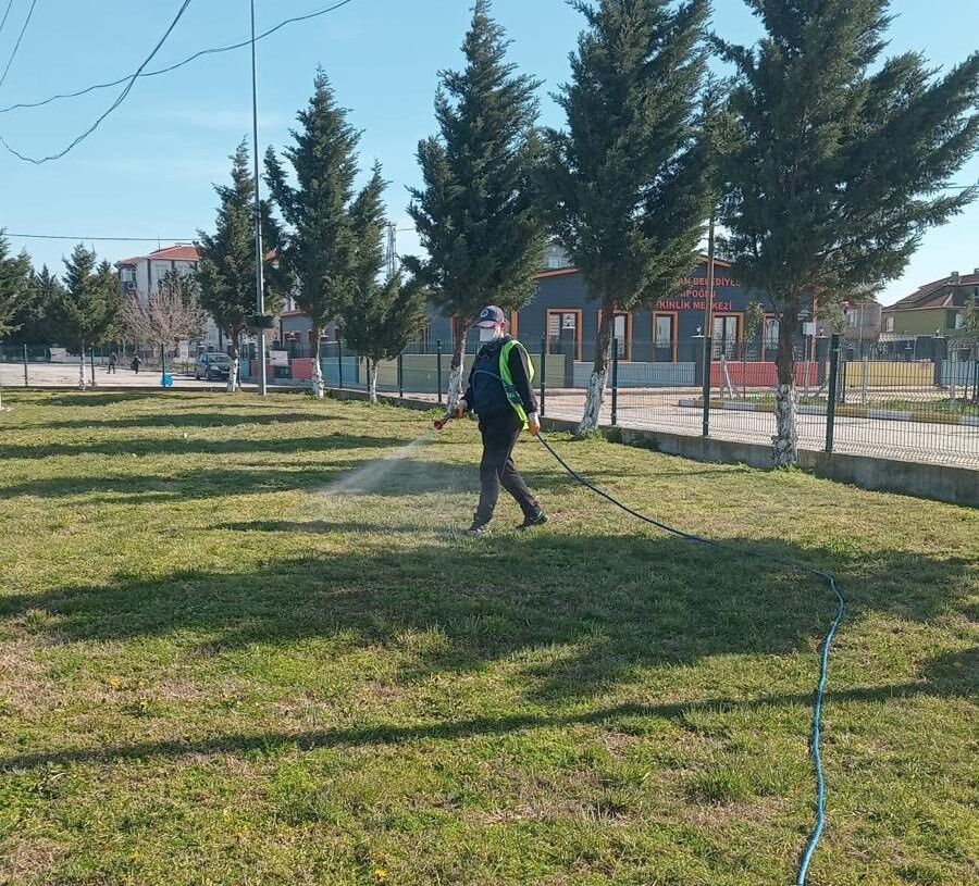 650927339 1214942290806383 3808131662486983338 N