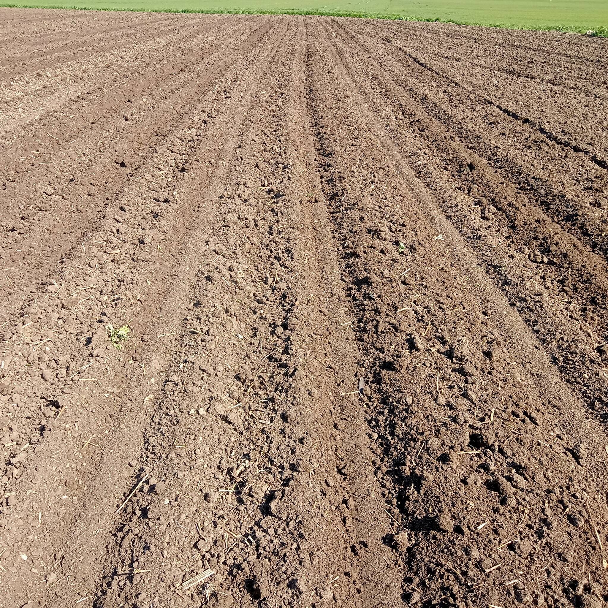 651628199 4899005920326058 1824325407850741507 N