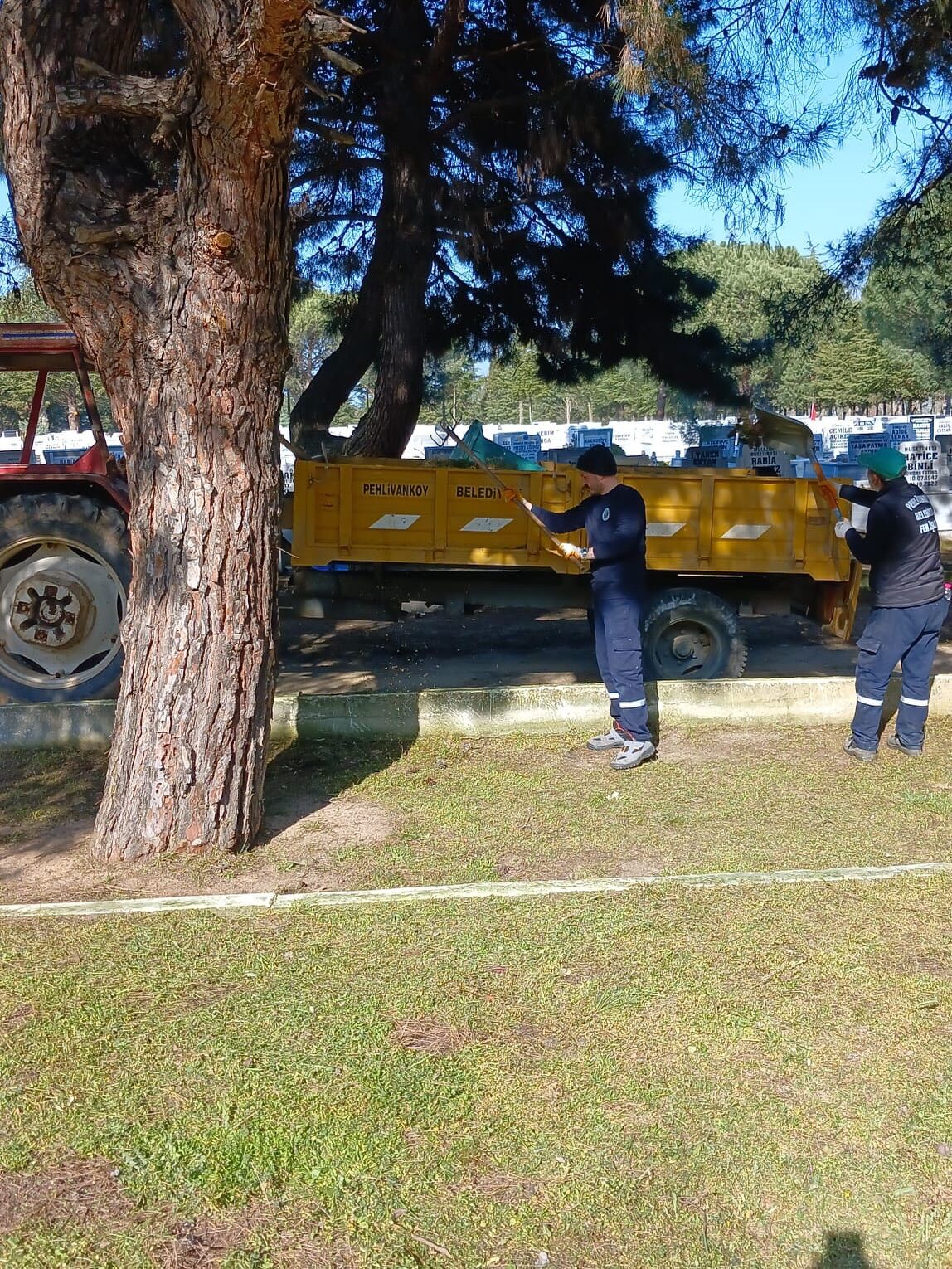 651906492 17928909078236893 6303988865418781509 N