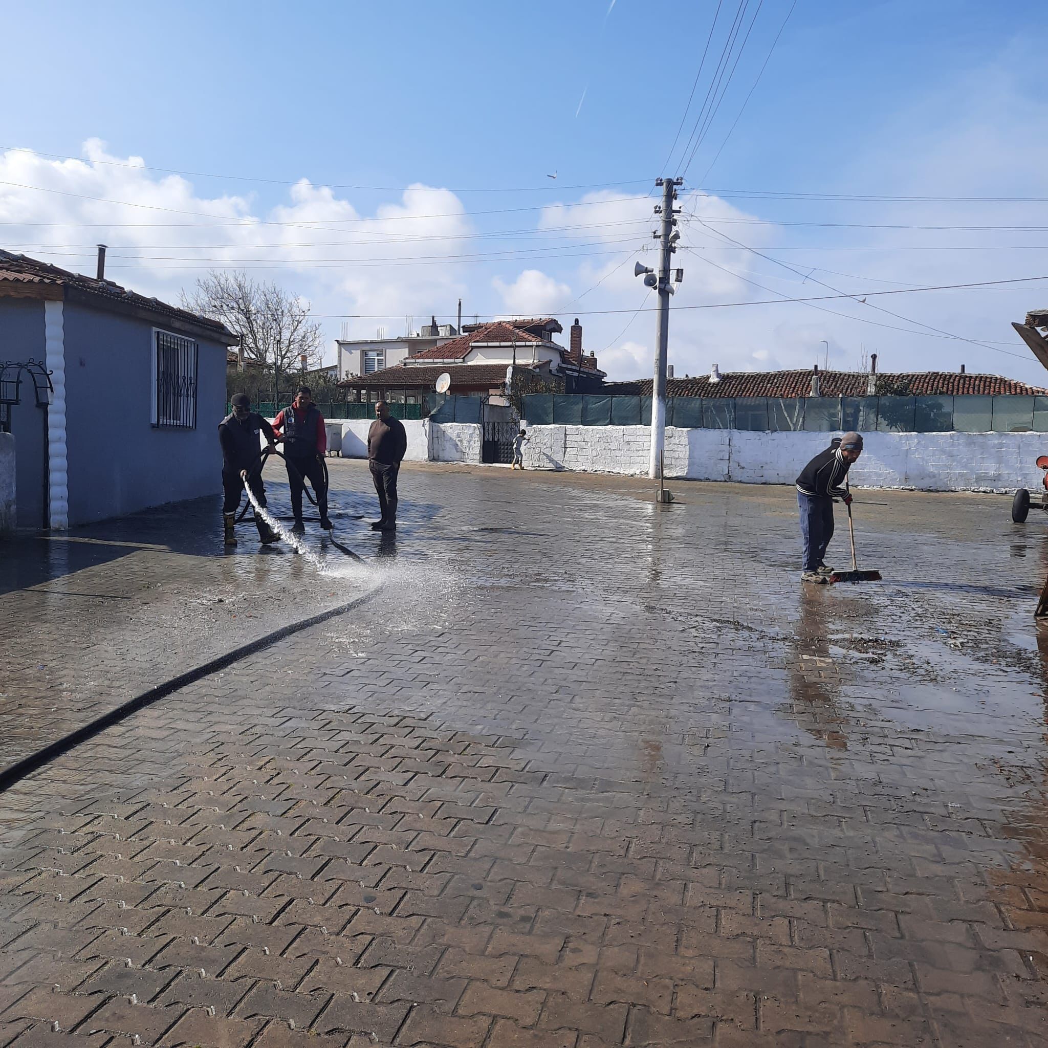 653710102 122245336118274107 7285034835646200221 N