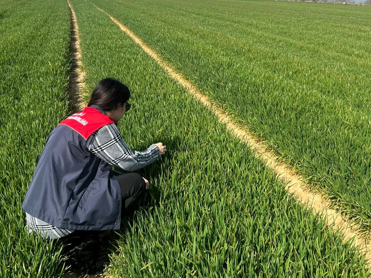 654563073 1398502522291409 3049352502636228533 N