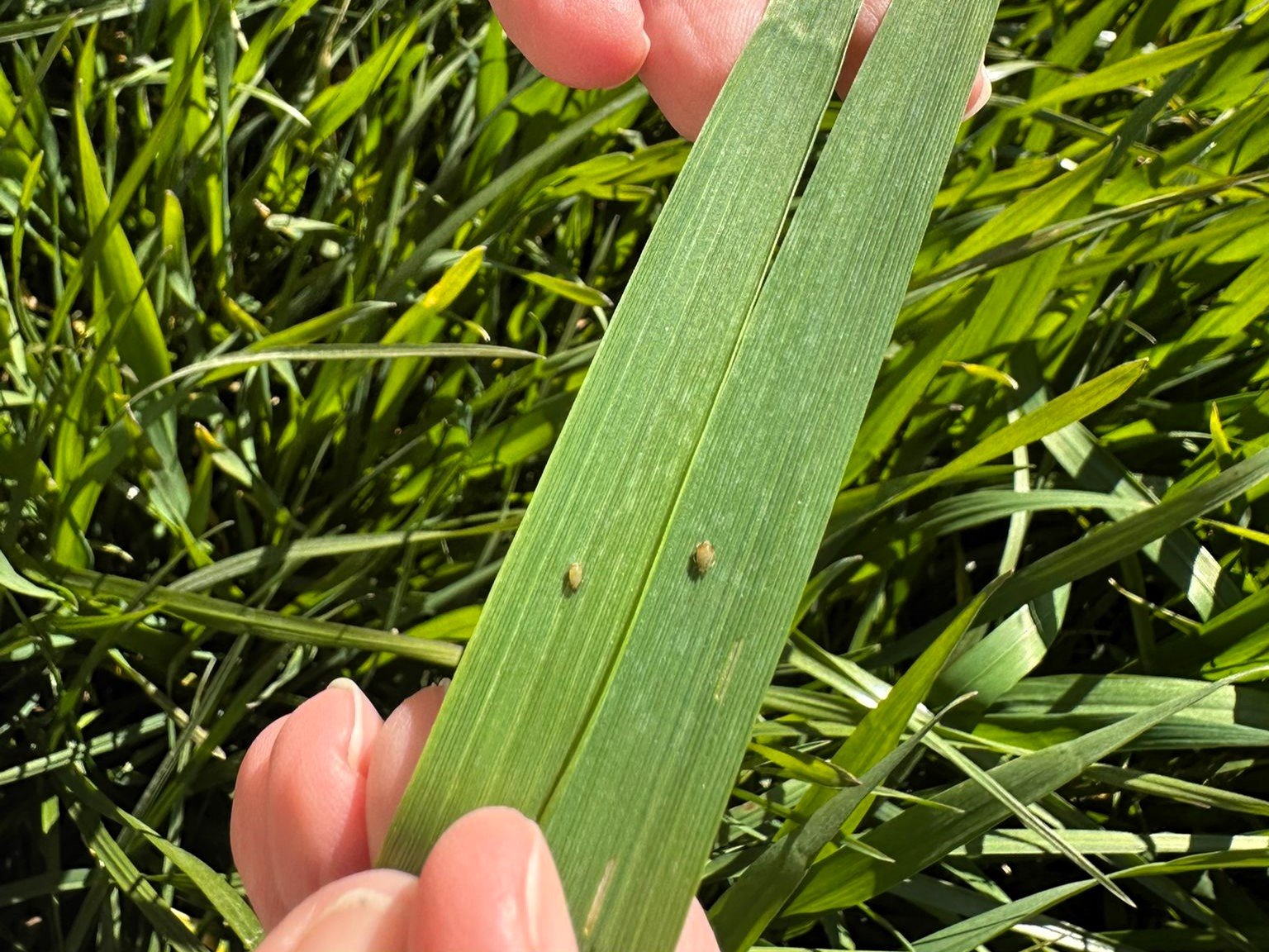 657854285 1396679779140350 4106159408696465000 N