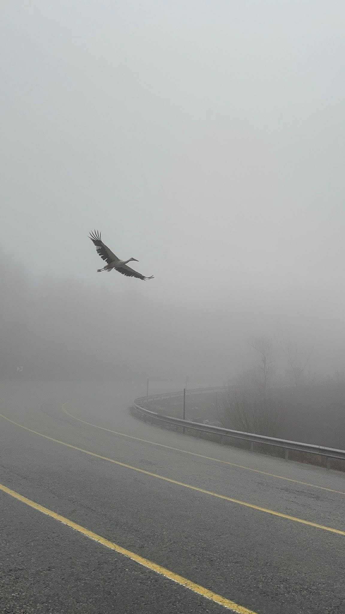 658051787 1271468641837231 5287733238184152365 N