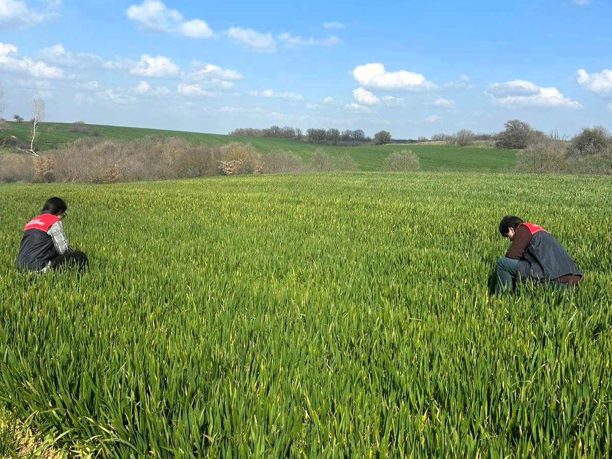 658207909 1398502505624744 4111049694658257688 N