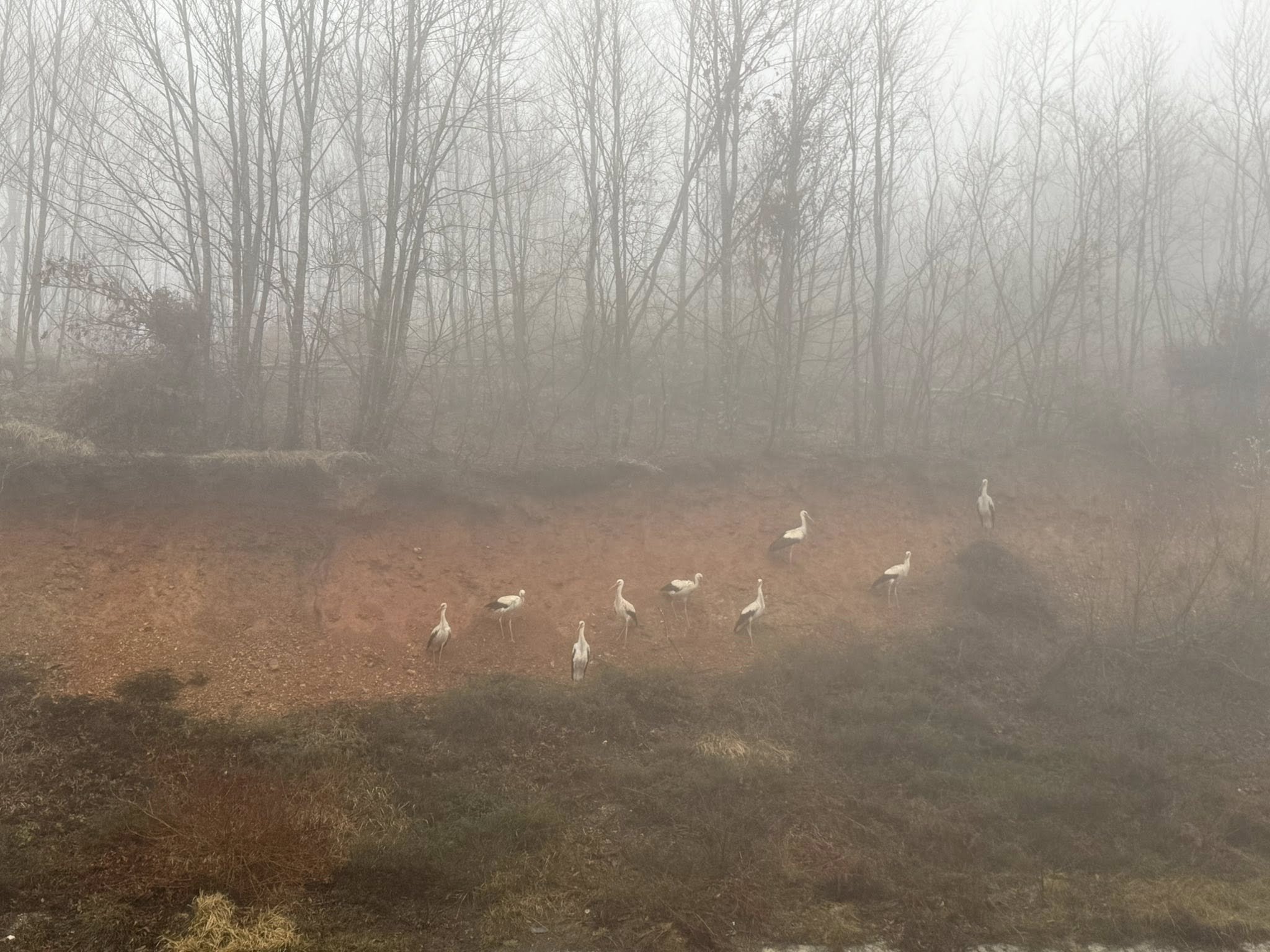 658299707 1271468448503917 7433639288018135790 N