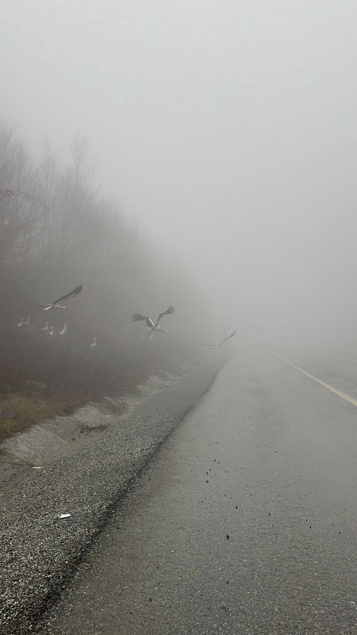 658864154 1271468601837235 7122206137569575032 N