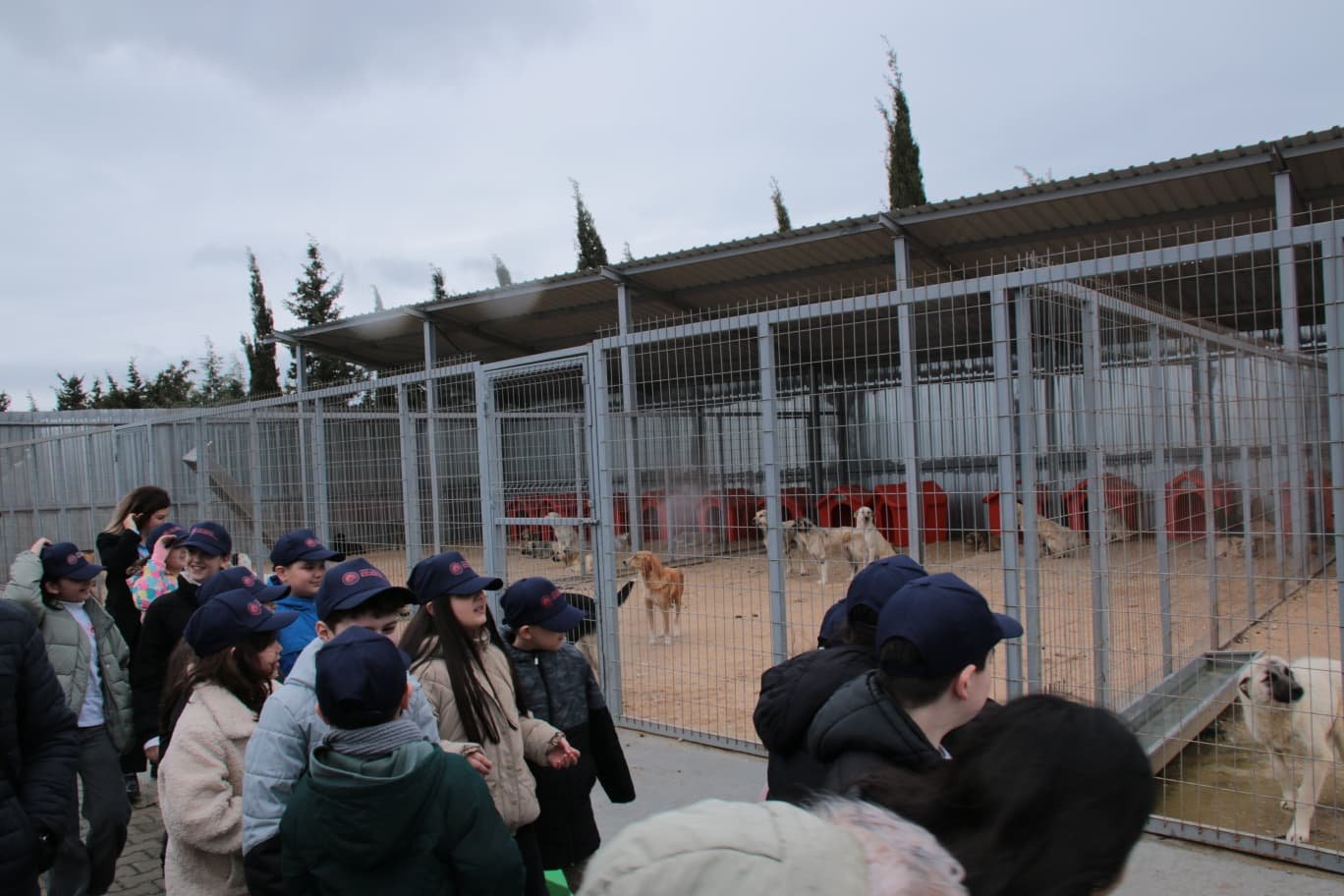 8Bed6A09 70B5 4Dcf Ad4B A1B31B55A706